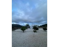 Nouvelle construction - Villa - Pinoso - Casas Pastor