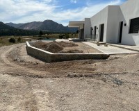 Nouvelle construction - Villa - Pinoso - Casas Pastor