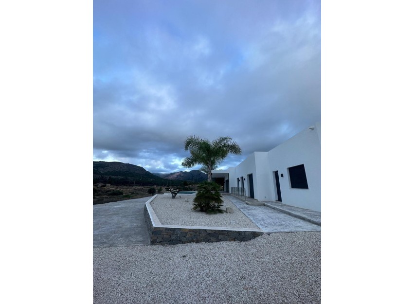 Nouvelle construction - Villa - Pinoso - Casas Pastor