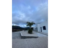 Nouvelle construction - Villa - Pinoso - Casas Pastor