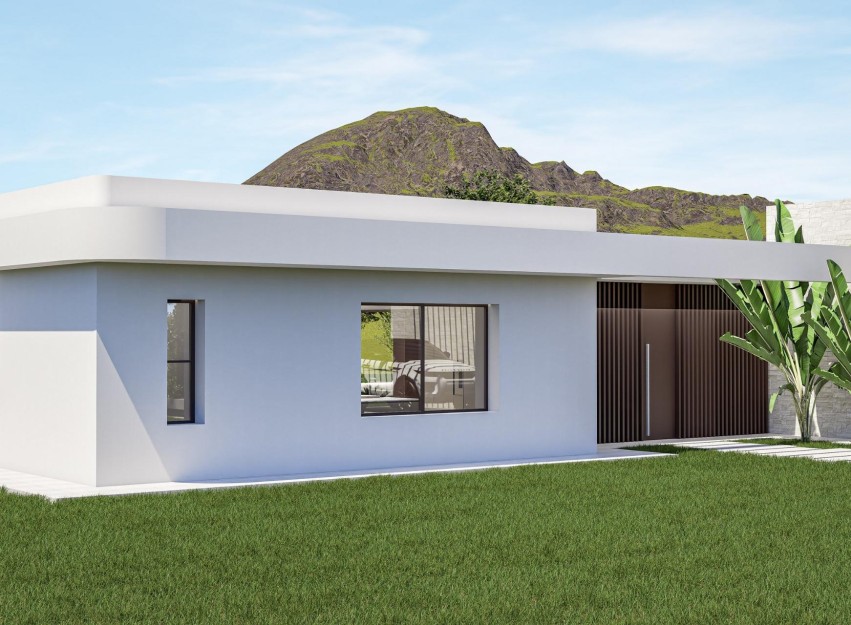 Nouvelle construction - Villa - Pinoso - Lel