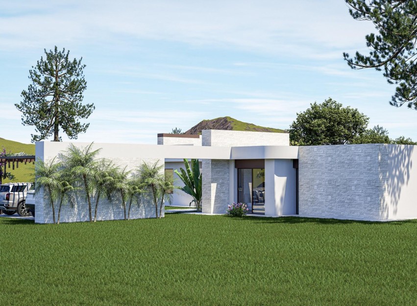 Nouvelle construction - Villa - Pinoso - Lel