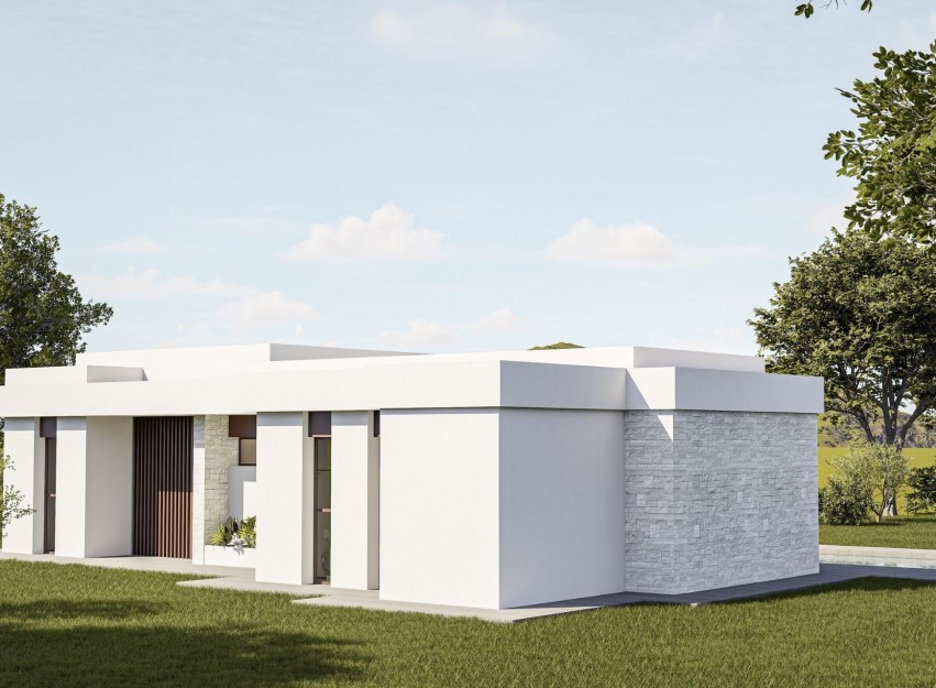 Nouvelle construction - Villa - Pinoso - Lel