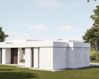 Nouvelle construction - Villa - Pinoso - Lel