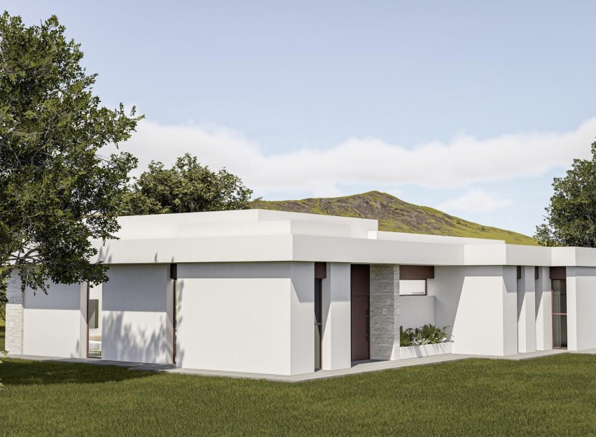Nouvelle construction - Villa - Pinoso - Lel