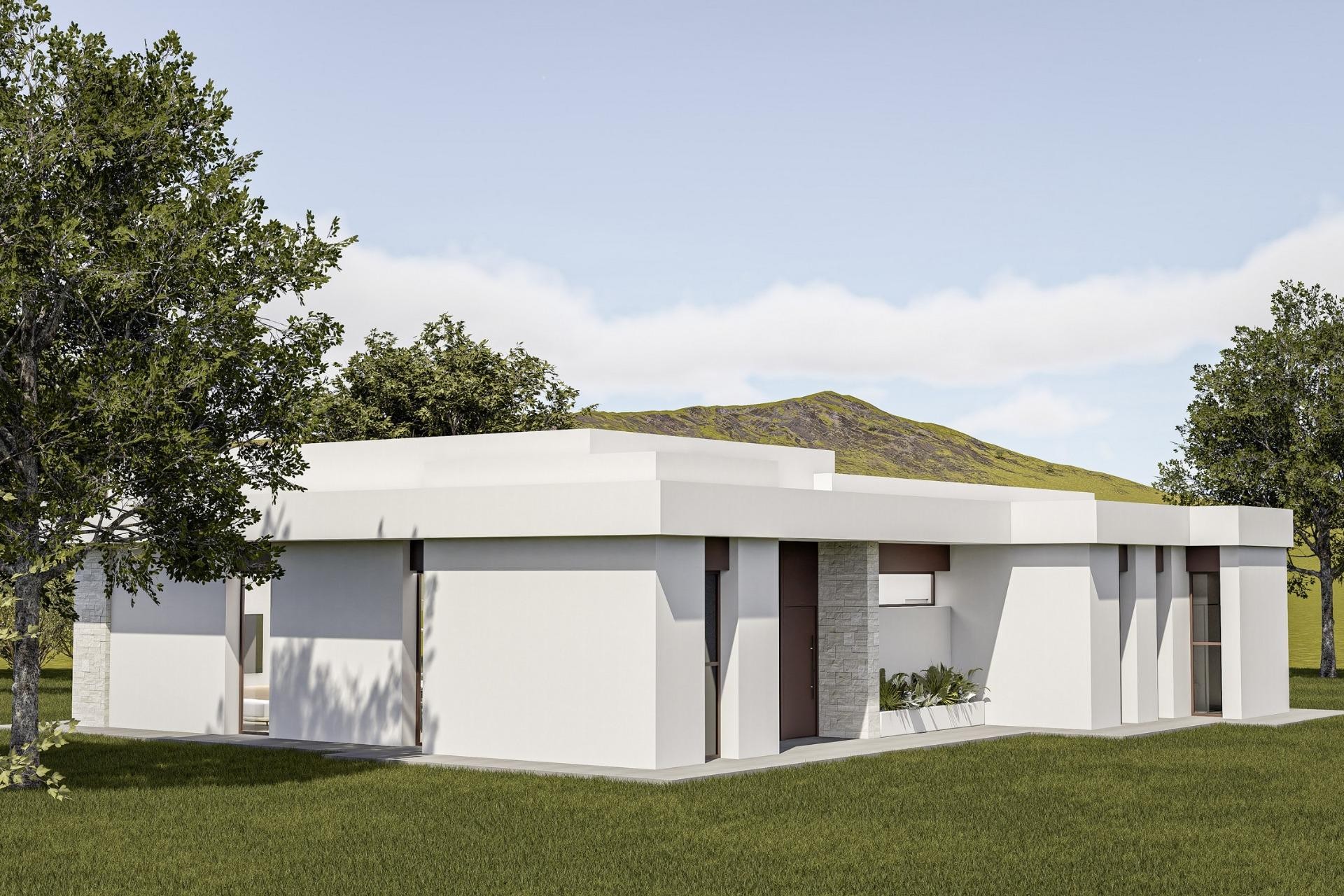 Nouvelle construction - Villa - Pinoso - Lel