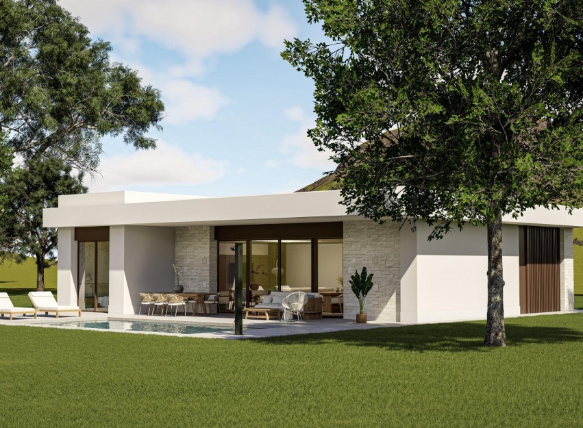 Nouvelle construction - Villa - Pinoso - Lel