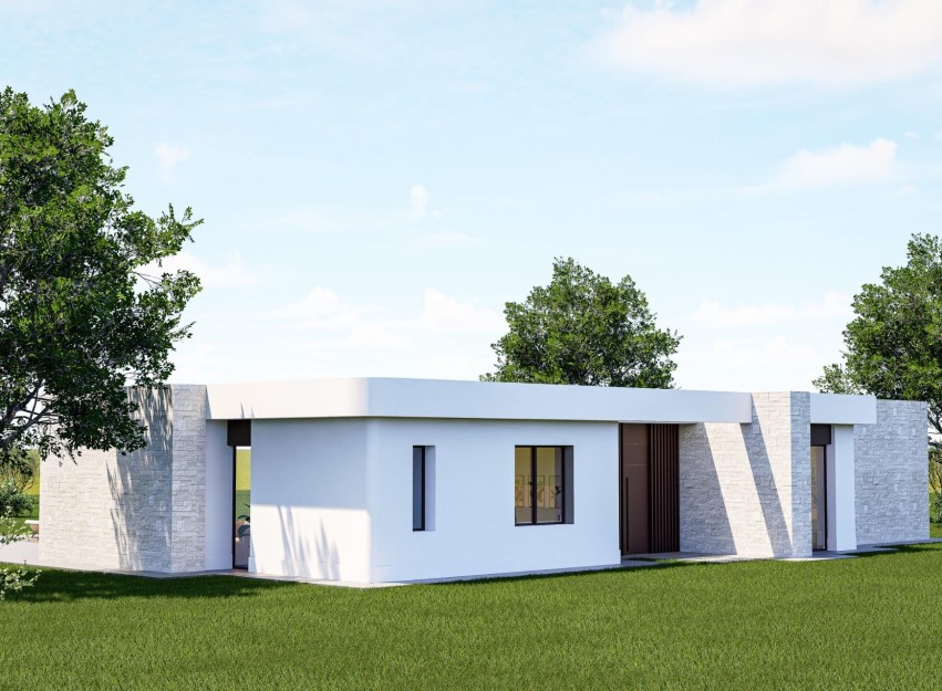 Nouvelle construction - Villa - Pinoso - Lel