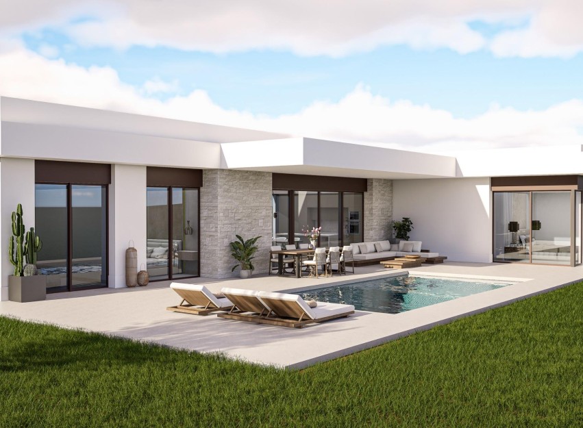 Nouvelle construction - Villa - Pinoso - Lel