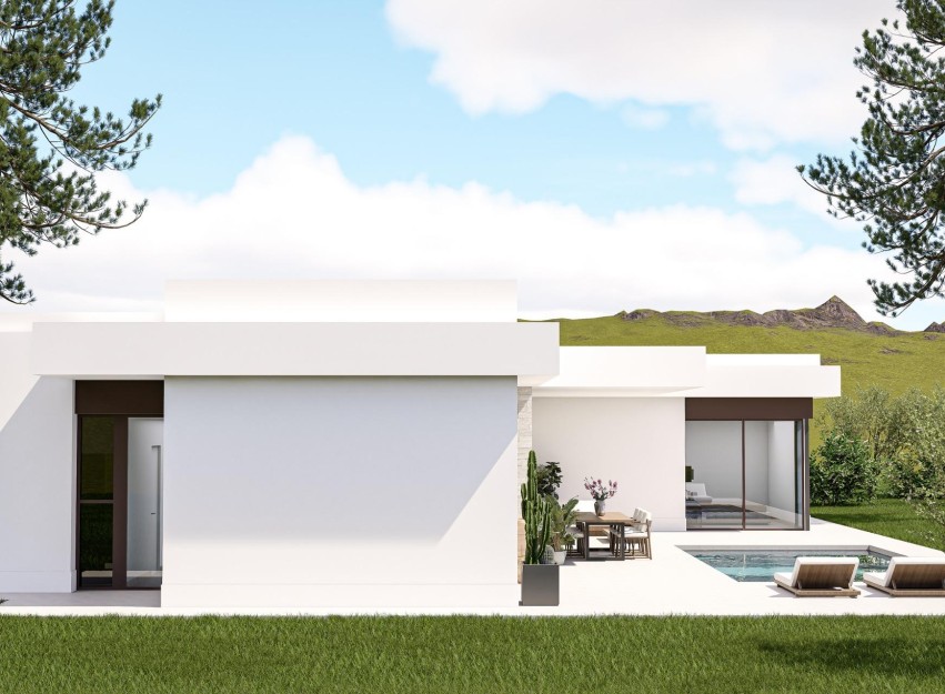 Nouvelle construction - Villa - Pinoso - Lel