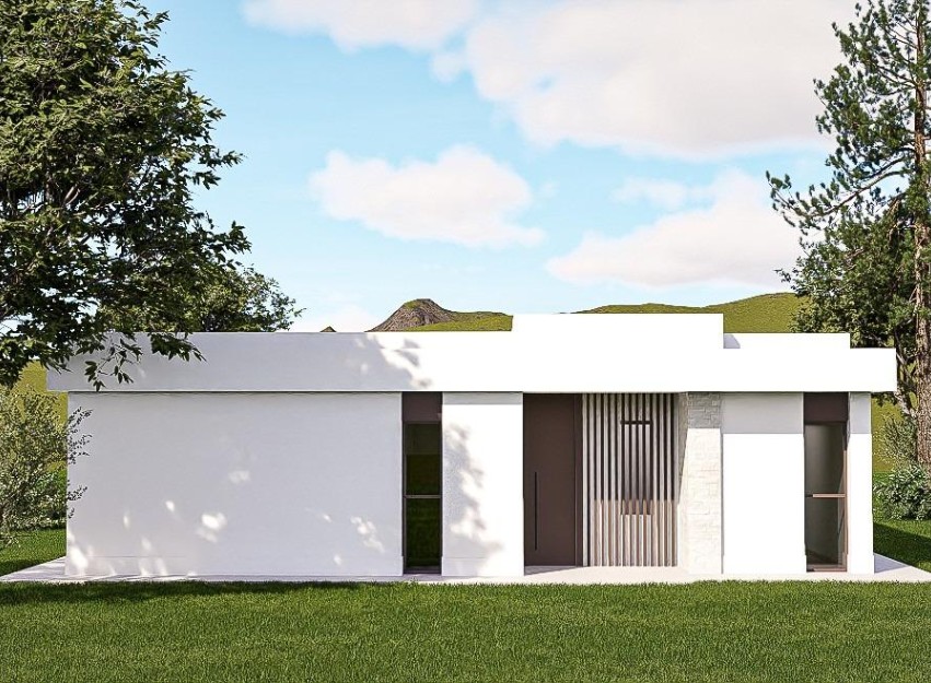 Nouvelle construction - Villa - Pinoso - Lel