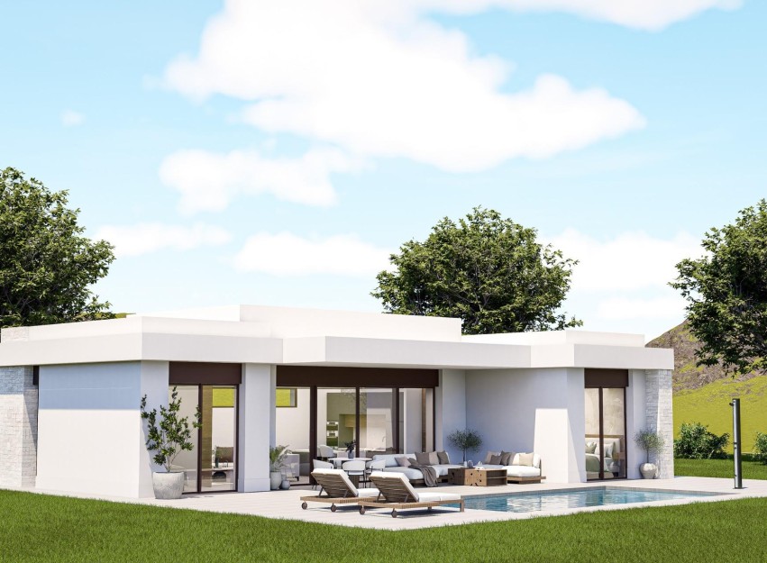 Nouvelle construction - Villa - Pinoso - Lel