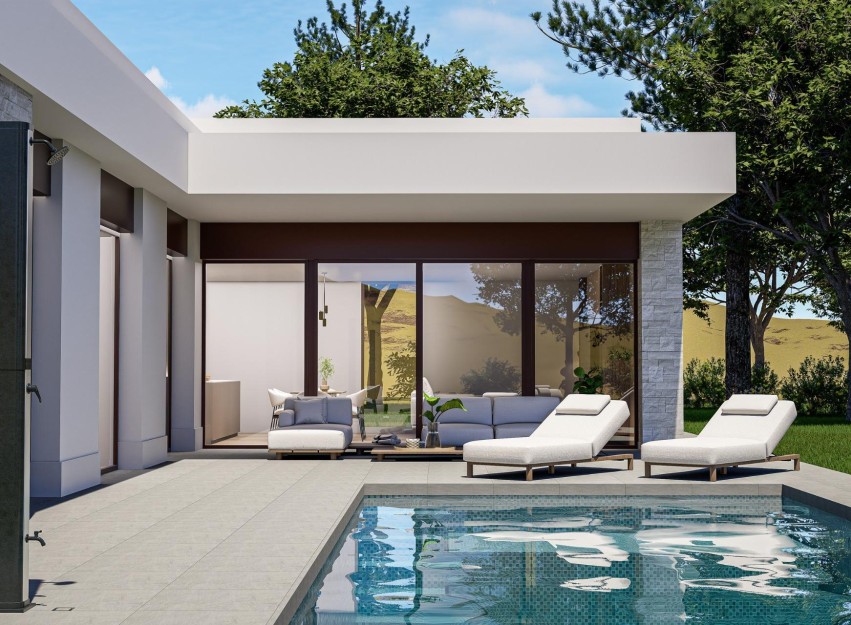 Nouvelle construction - Villa - Pinoso - Lel
