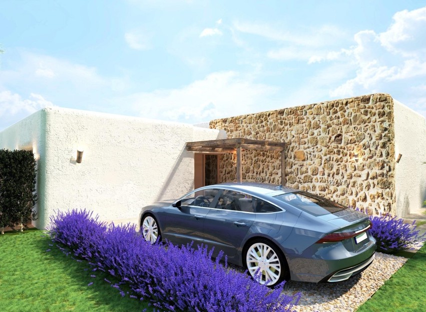 Nouvelle construction - Villa - Pinoso - Rodriguillo