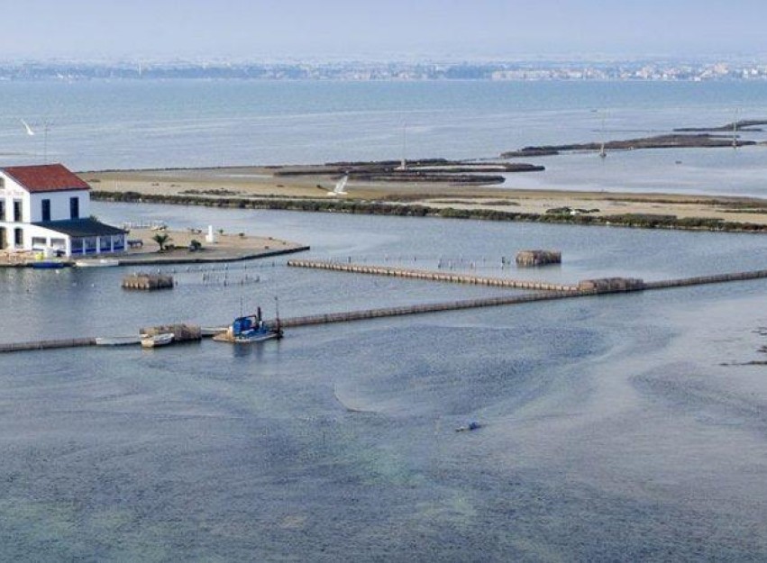 Nouvelle construction - Villa - San Pedro del Pinatar - Centro