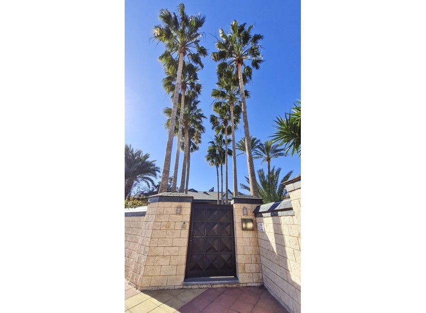 Nouvelle construction - Villa - San Pedro del Pinatar