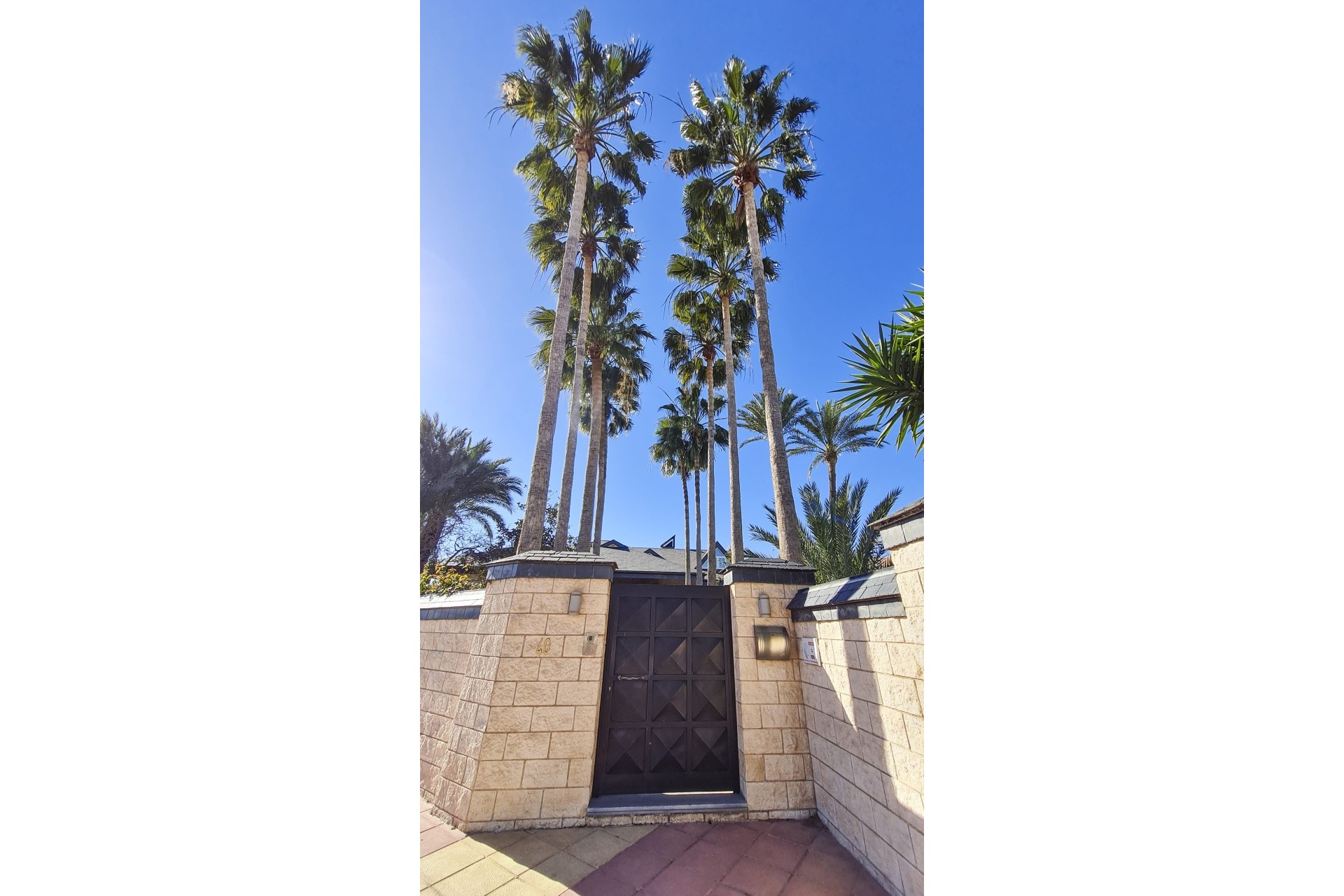 Nouvelle construction - Villa - San Pedro del Pinatar