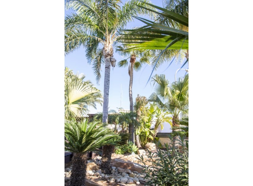 Nouvelle construction - Villa - San Pedro del Pinatar