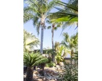 Nouvelle construction - Villa - San Pedro del Pinatar