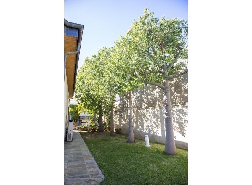 Nouvelle construction - Villa - San Pedro del Pinatar