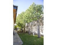 Nouvelle construction - Villa - San Pedro del Pinatar