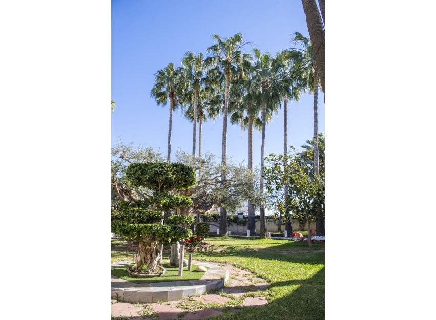 Nouvelle construction - Villa - San Pedro del Pinatar