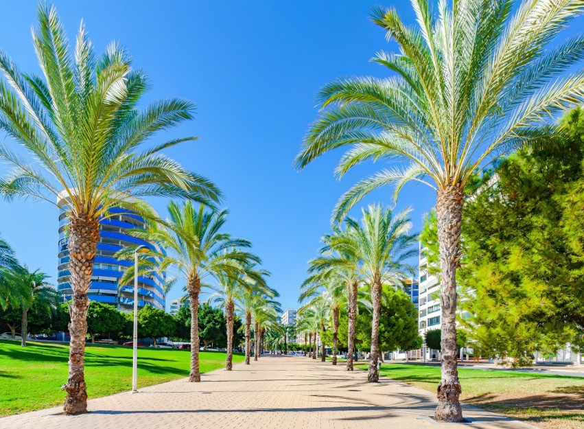 Resale - Apartment - Finestrat - Cala de Finestrat