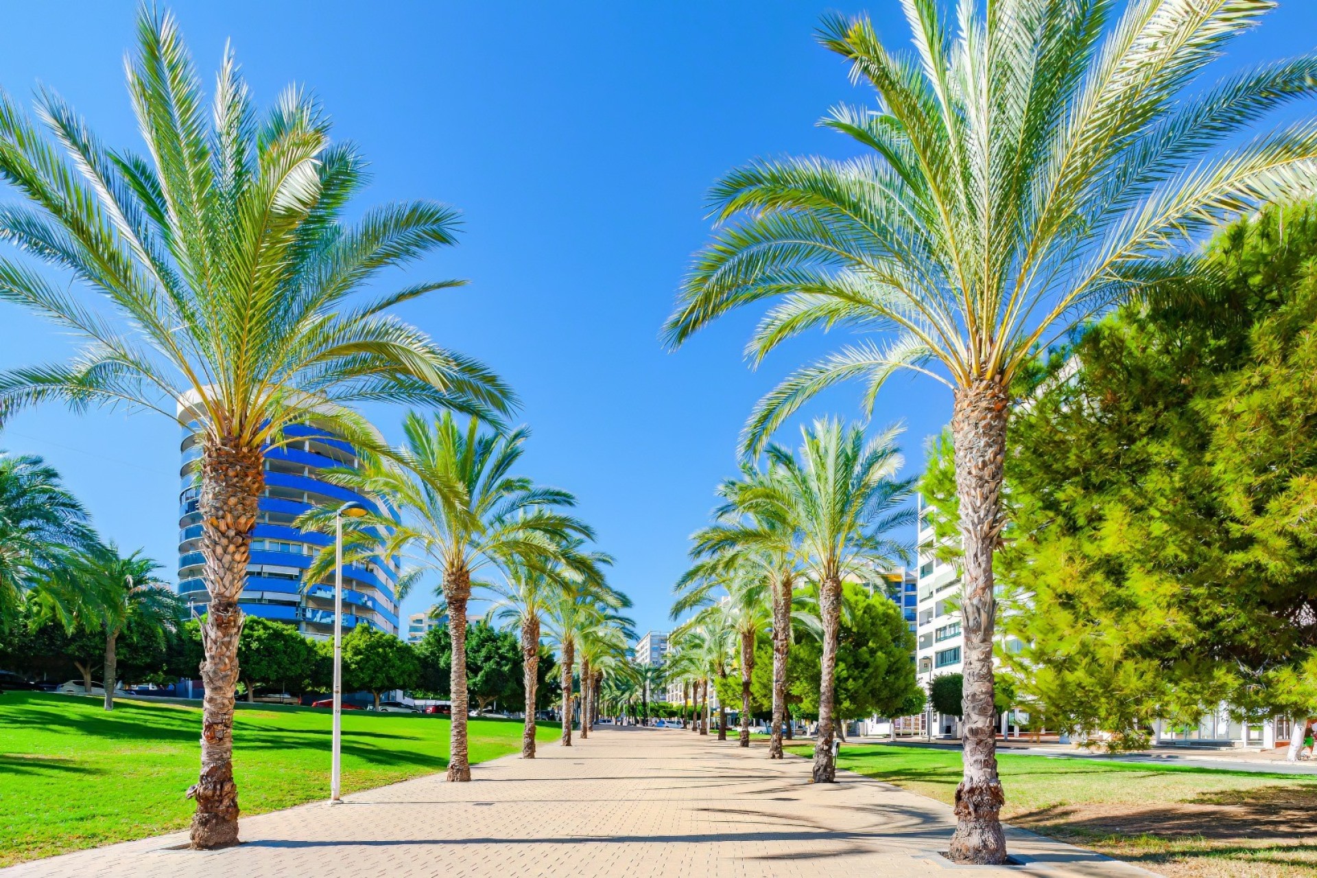Resale - Apartment - Finestrat - Cala de Finestrat