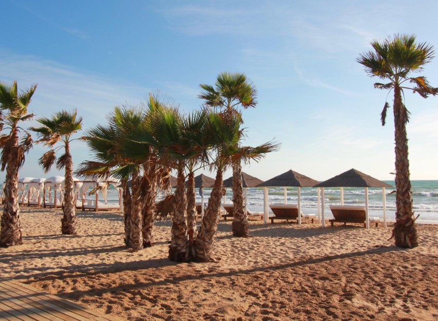 Resale - Apartment - Guardamar del Segura - El Moncayo