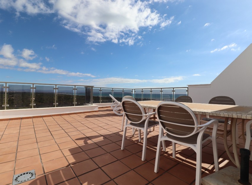 Resale - Apartment - Guardamar del Segura - Guardamar del Segura - Town