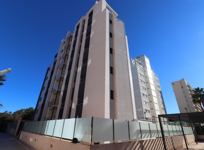 Resale - Apartment - Guardamar del Segura - Guardamar del Segura - Town