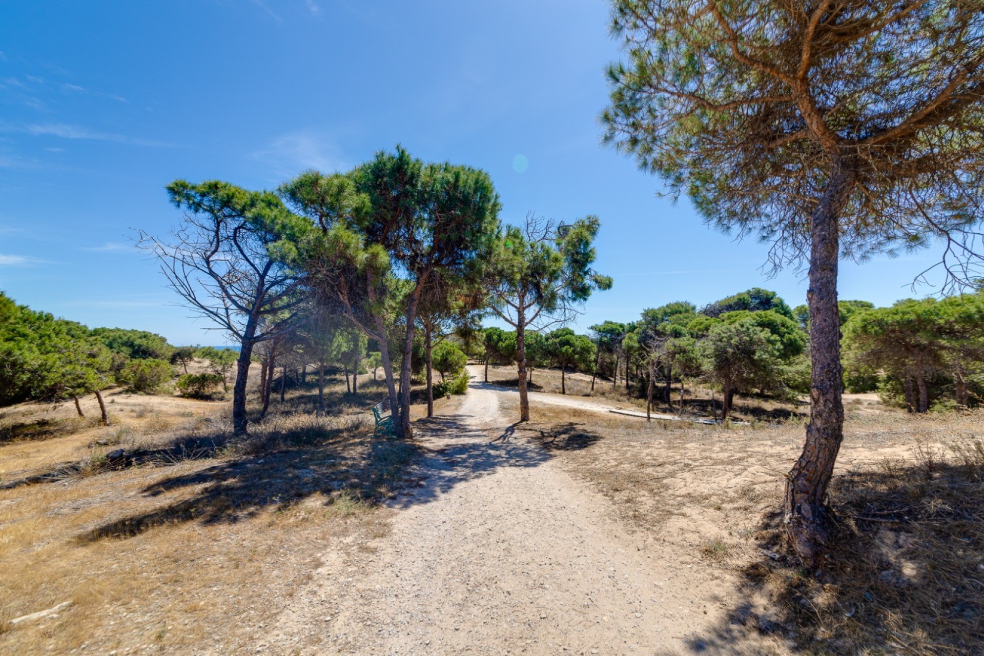 Resale - Apartment - Guardamar del Segura - Pinomar