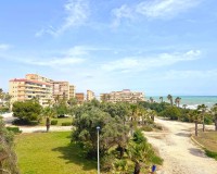 Resale - Apartment - Torrevieja - Torrelamata - La Mata