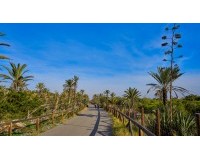 Resale - Commercial - Guardamar del Segura - Center