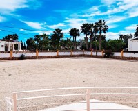 Resale - Country House - Catral - Catral - Country