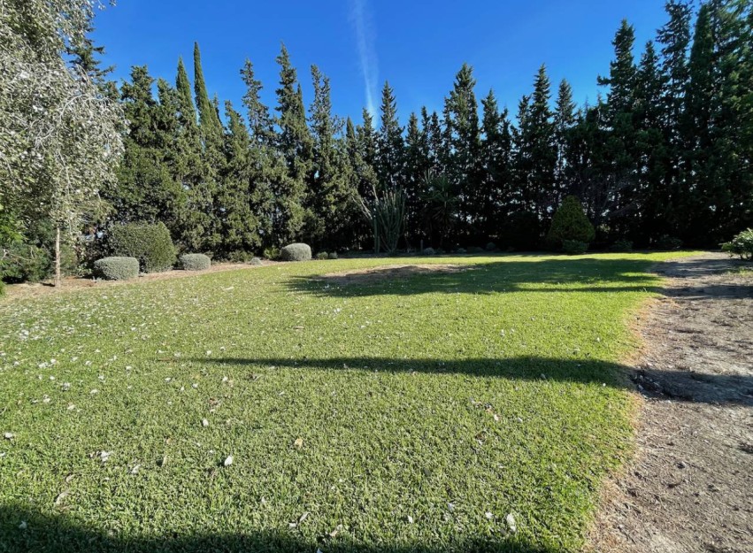 Resale - Country House - Daya Vieja