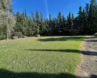 Resale - Country House - Daya Vieja