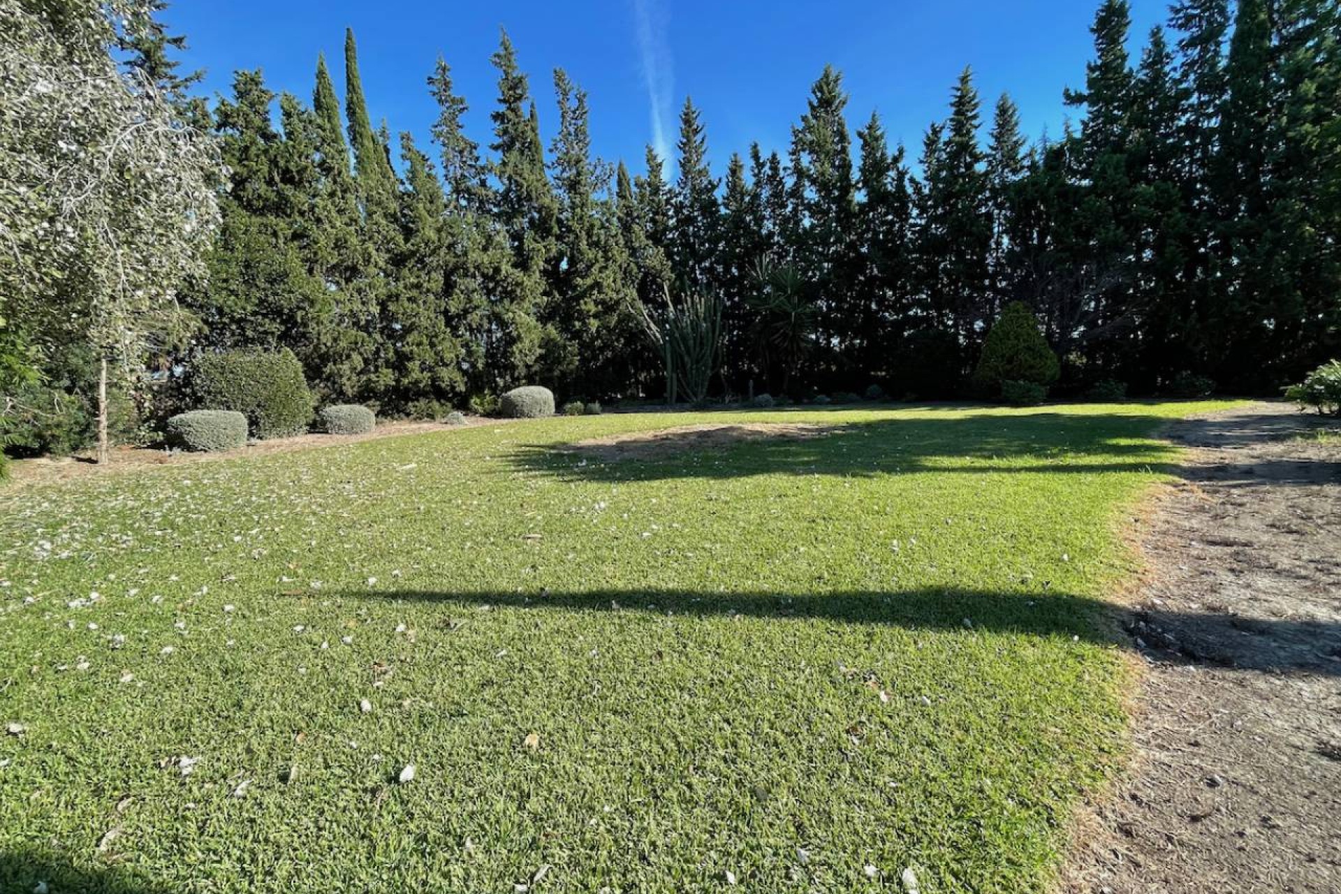 Resale - Country House - Daya Vieja