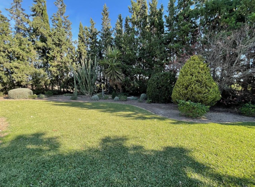 Resale - Country House - Daya Vieja
