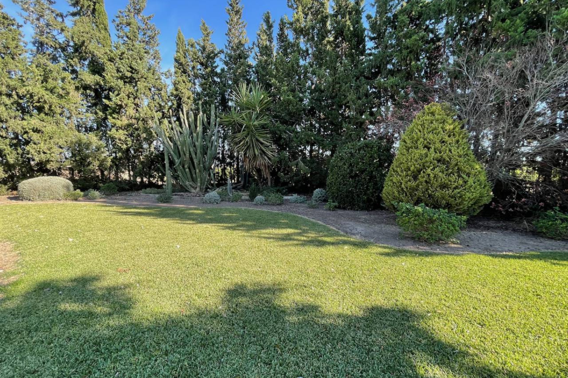 Resale - Country House - Daya Vieja