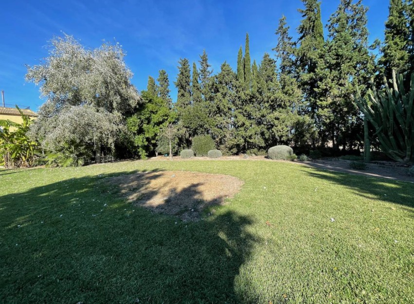 Resale - Country House - Daya Vieja