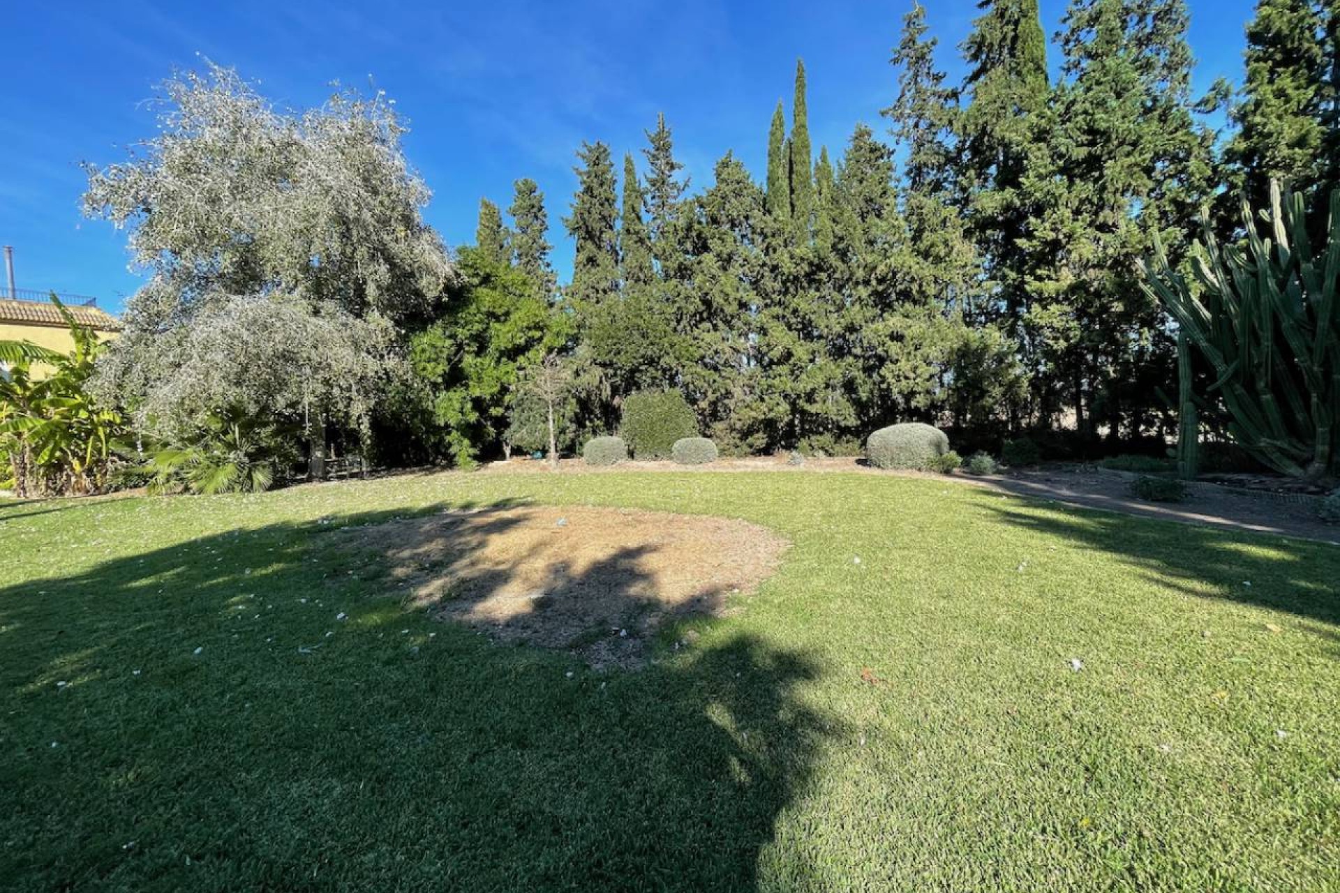 Resale - Country House - Daya Vieja