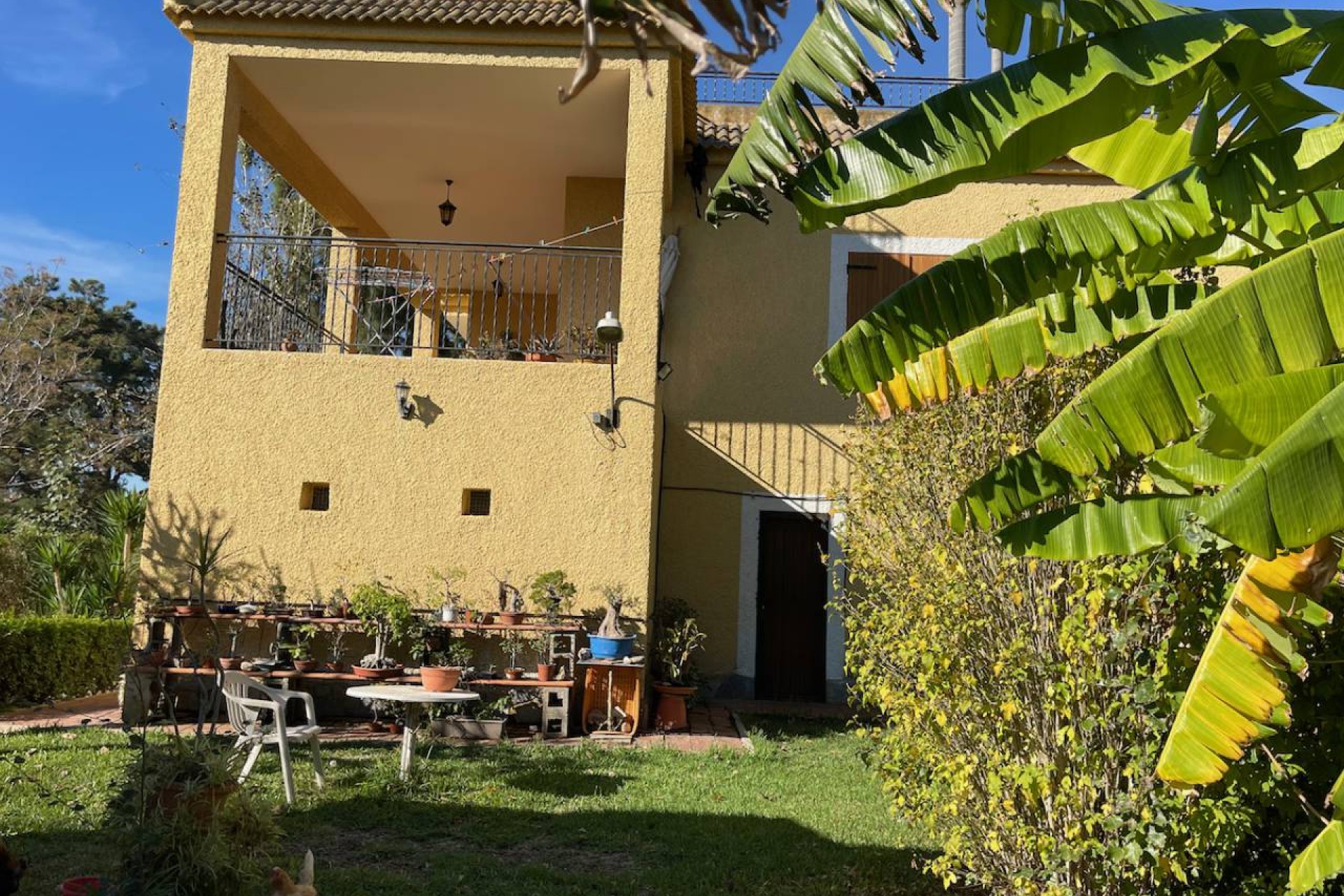 Resale - Country House - Daya Vieja