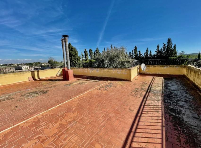 Resale - Country House - Daya Vieja