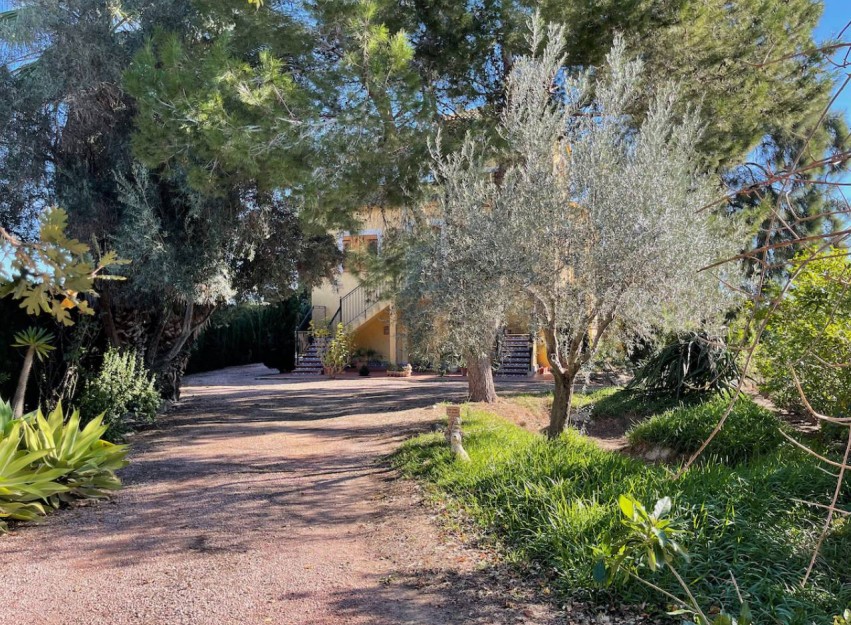 Resale - Country House - Daya Vieja