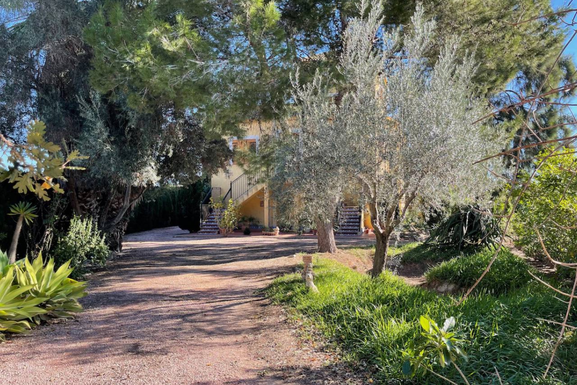 Resale - Country House - Daya Vieja