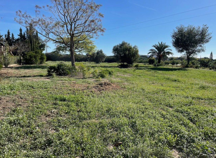Resale - Country House - Daya Vieja