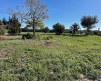 Resale - Country House - Daya Vieja