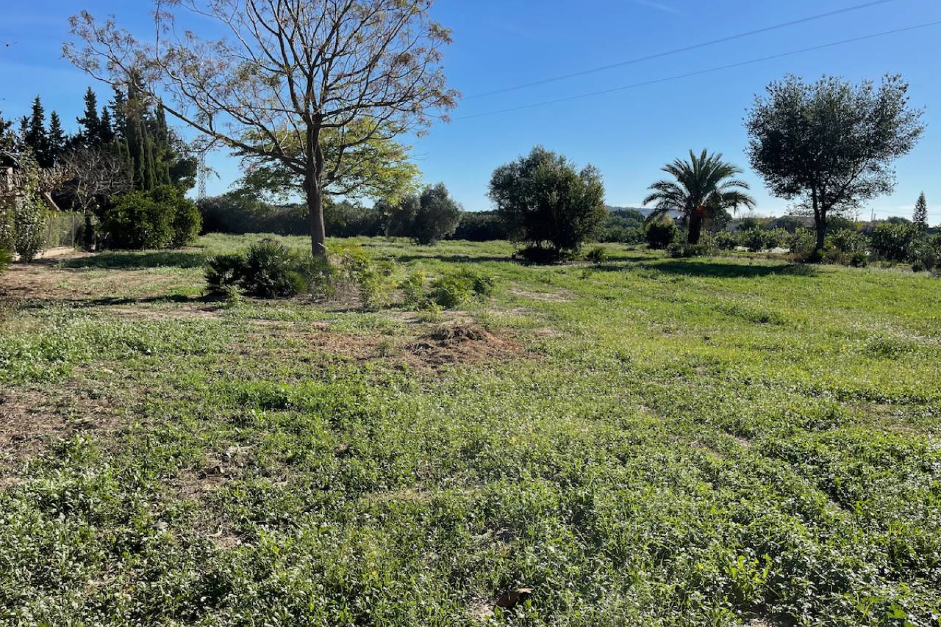 Resale - Country House - Daya Vieja