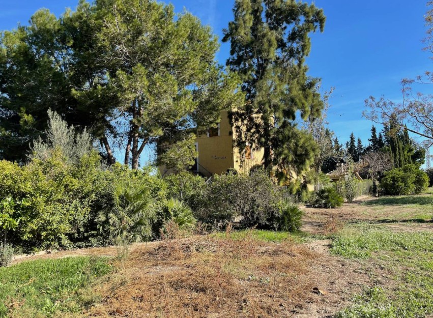 Resale - Country House - Daya Vieja